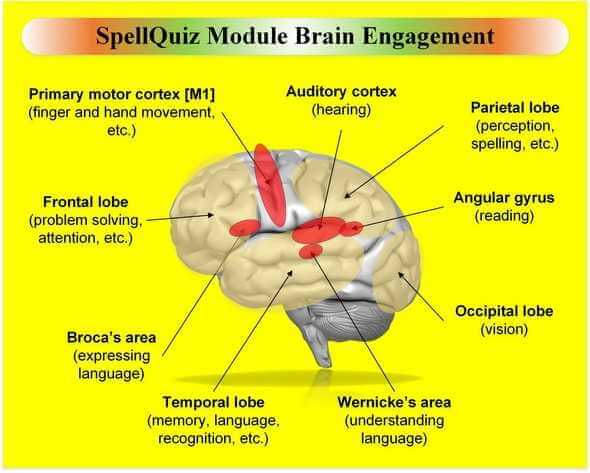 SpellQuiz | Online Spelling Test, Spelling Quiz and Spelling Practice  Lessons